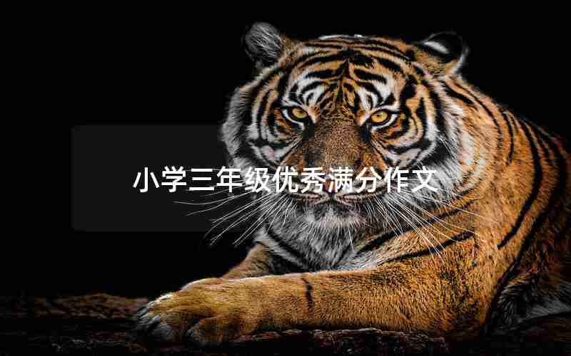 小学三年级优秀满分作文