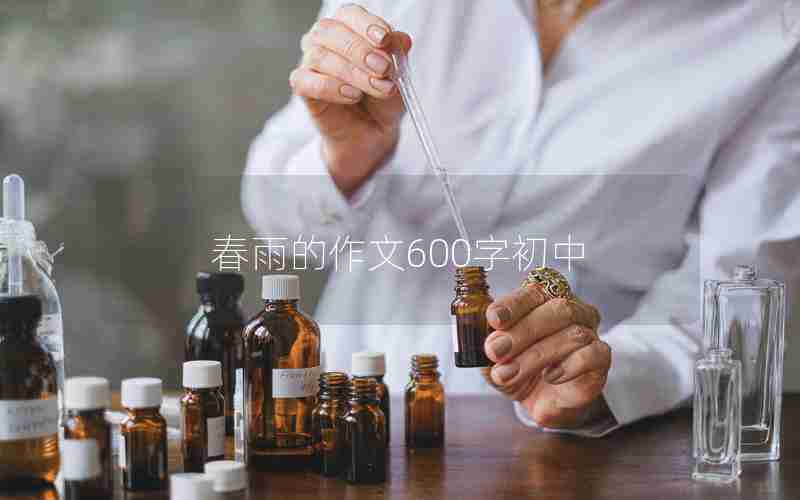 春雨的作文600字初中