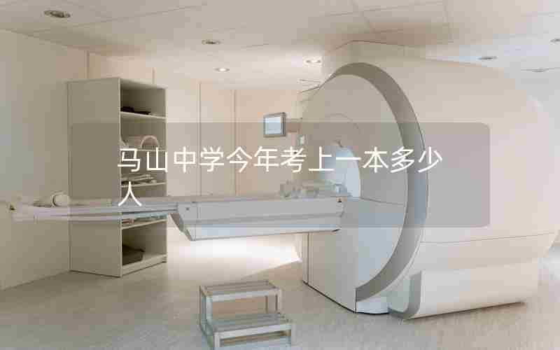 马山中学今年考上一本多少人