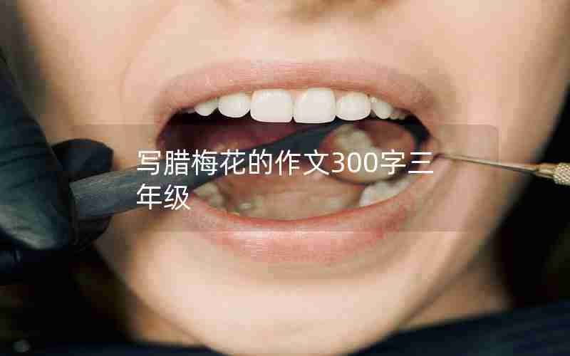 写腊梅花的作文300字三年级