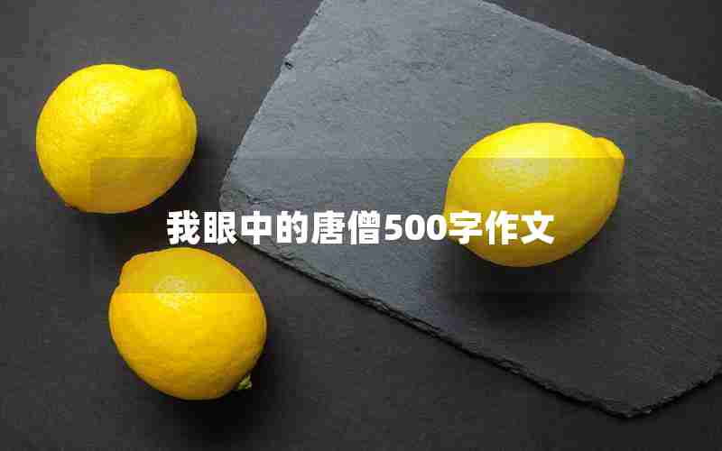 我眼中的唐僧500字作文