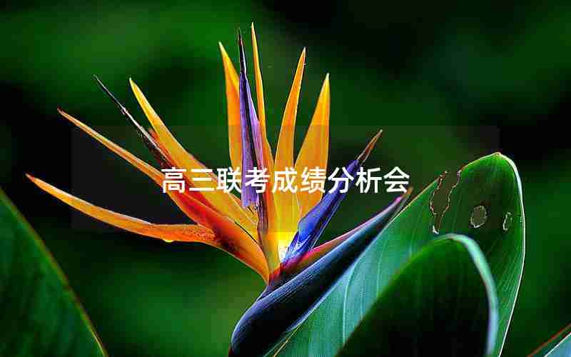 高三联考成绩分析会