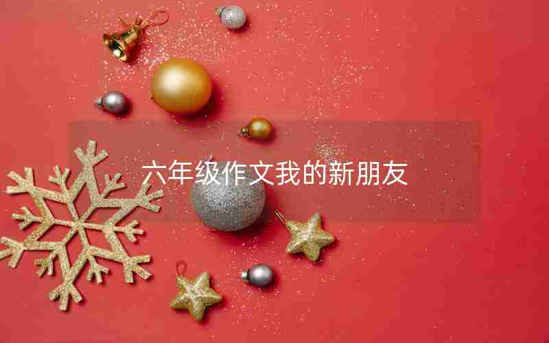 六年级作文我的新朋友