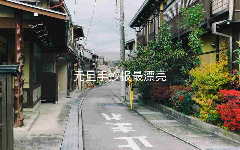 元旦手抄报最漂亮