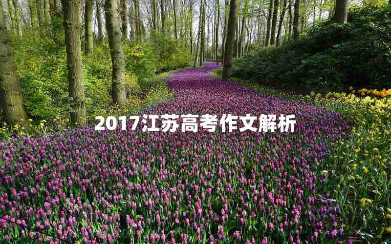 2017江苏高考作文解析