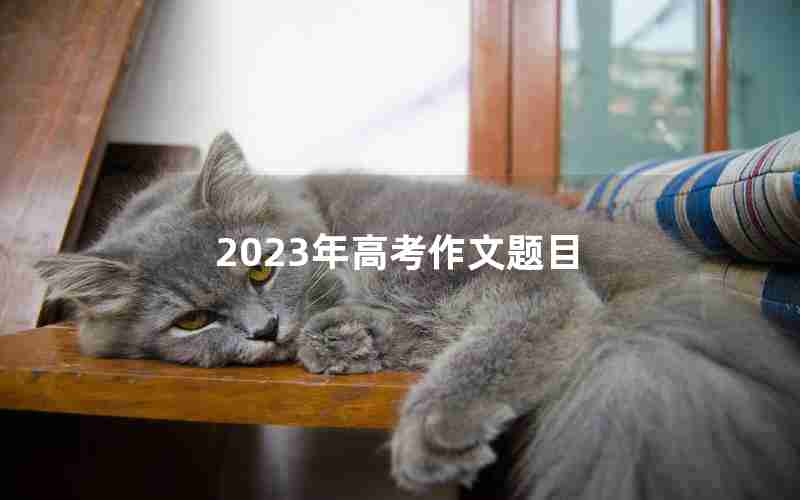2023年高考作文题目