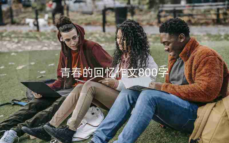 青春的回忆作文800字
