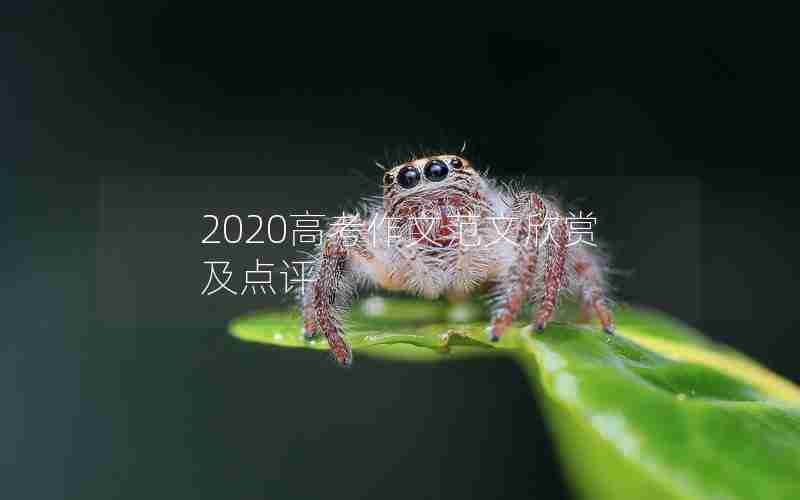 2020高考作文范文欣赏及点评