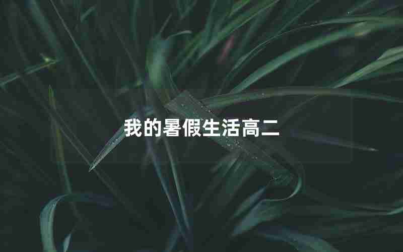 我的暑假生活高二