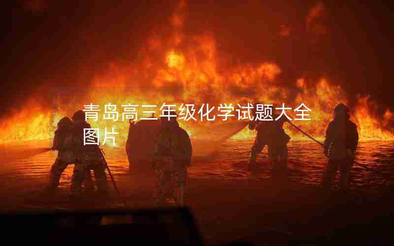 青岛高三年级化学试题大全图片