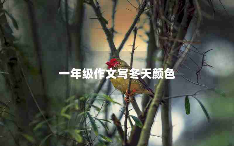 一年级作文写冬天颜色