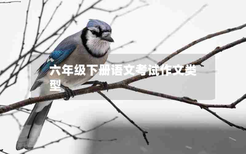 六年级下册语文考试作文类型