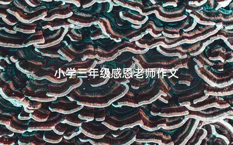 小学三年级感恩老师作文