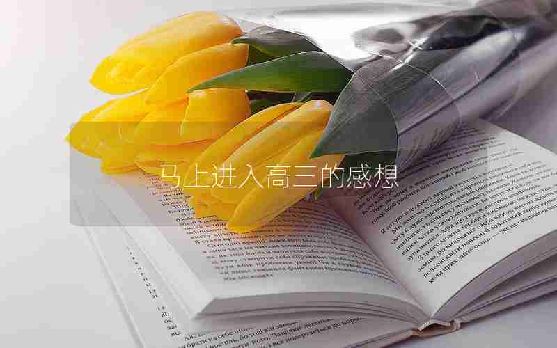 马上进入高三的感想