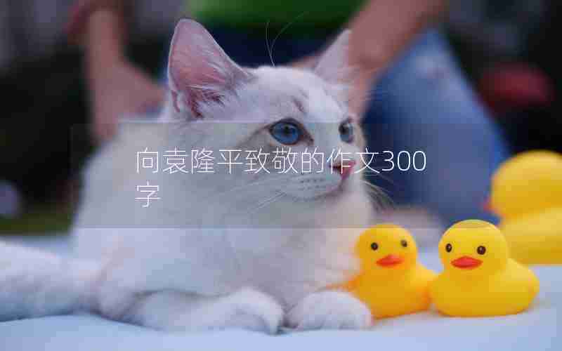 向袁隆平致敬的作文300字