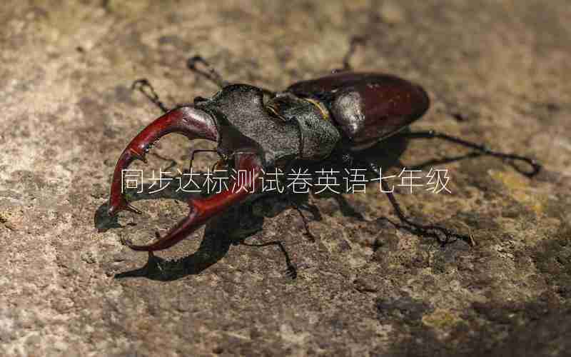同步达标测试卷英语七年级