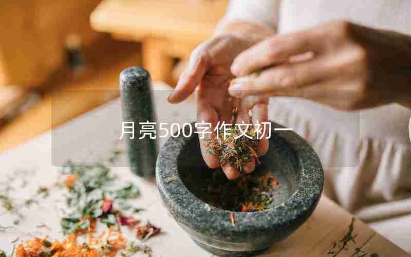 月亮500字作文初一