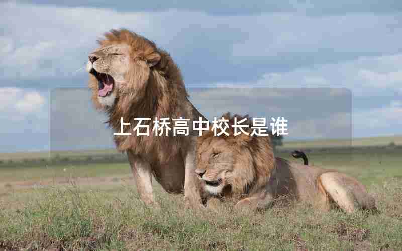 上石桥高中校长是谁