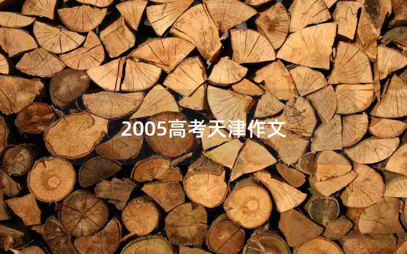 2005高考天津作文