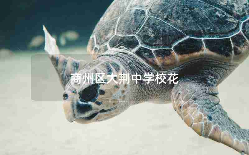 商州区大荆中学校花