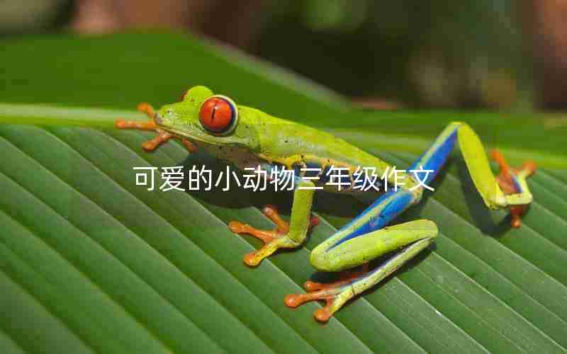 可爱的小动物三年级作文