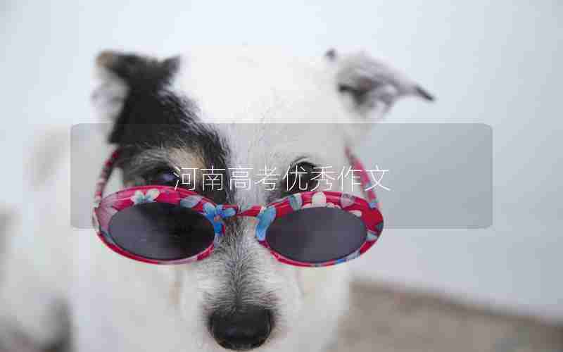 河南高考优秀作文