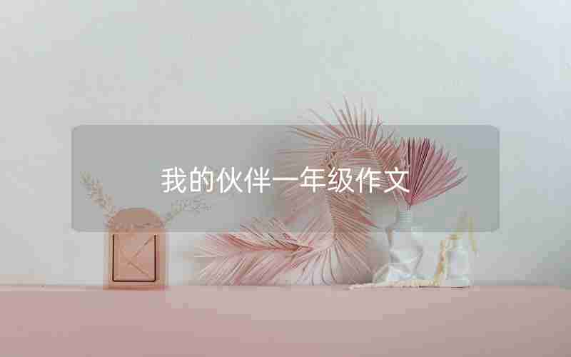 我的伙伴一年级作文