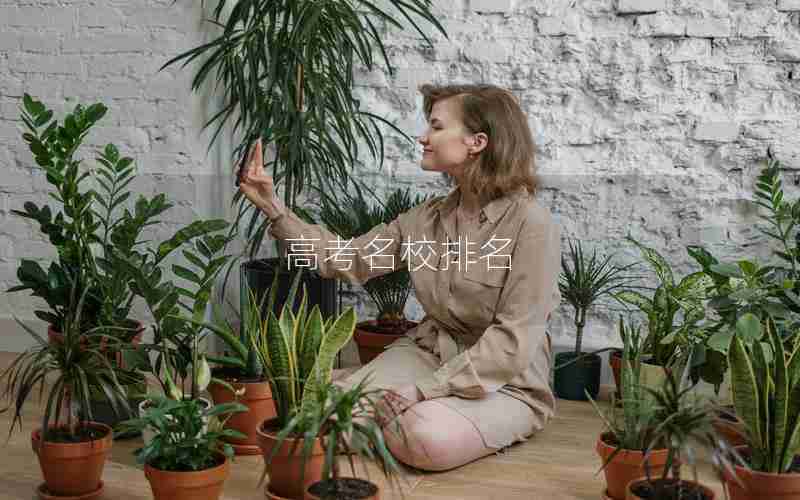 高考名校排名
