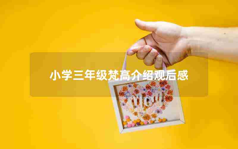 小学三年级梵高介绍观后感