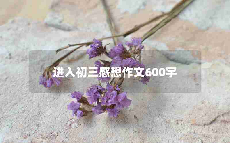 进入初三感想作文600字
