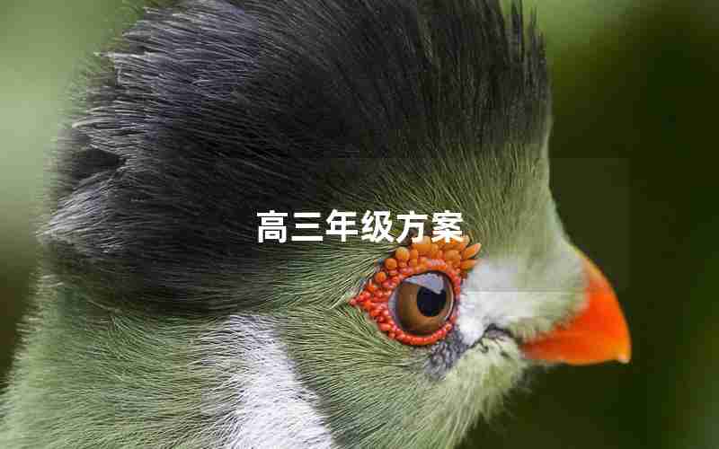 高三年级方案(高三年级工作方案)