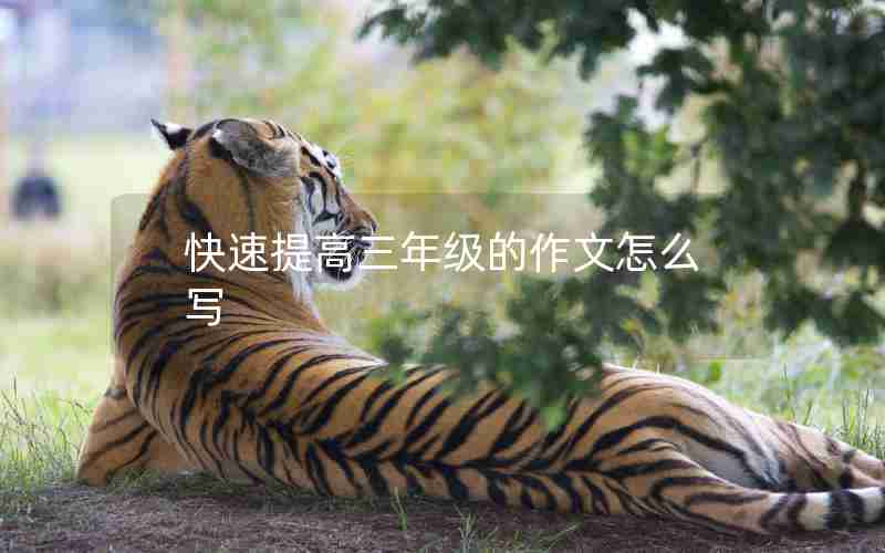 快速提高三年级的作文怎么写