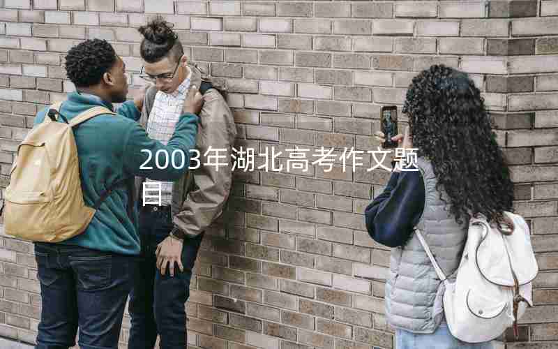 2003年湖北高考作文题目