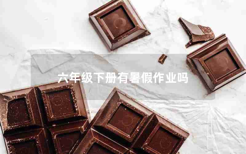 六年级下册有暑假作业吗