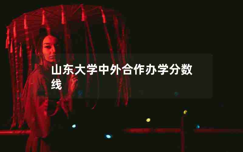山东大学中外合作办学分数线