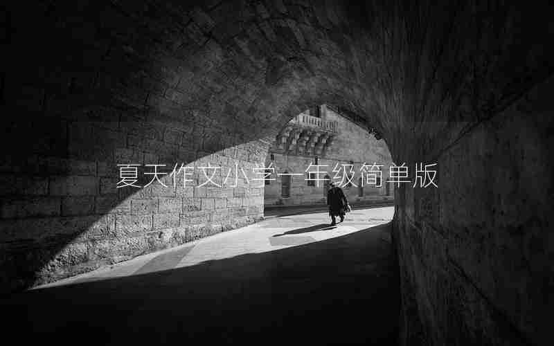 夏天作文小学一年级简单版