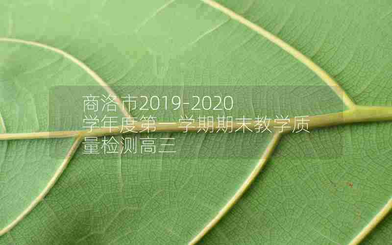 商洛市2019-2020学年度第一学期期末教学质量检测高三