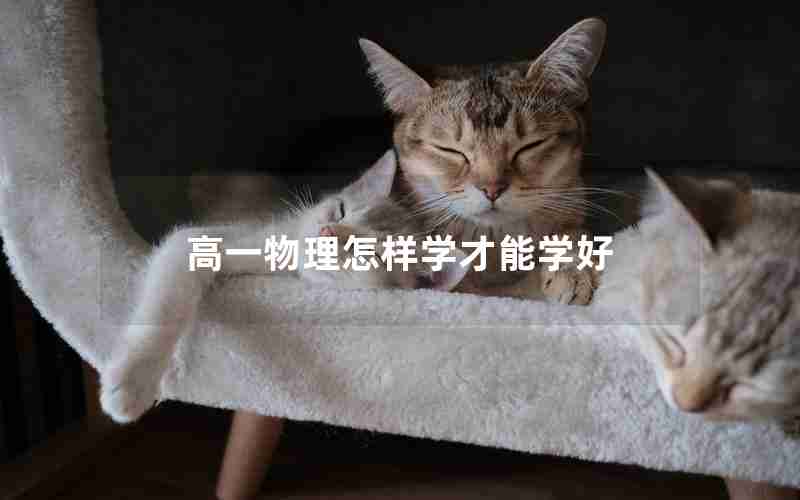 高一物理怎样学才能学好