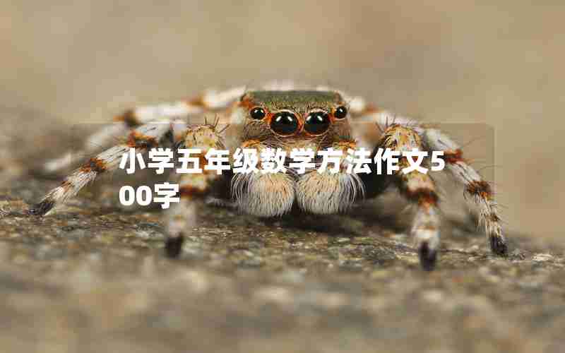 小学五年级数学方法作文500字