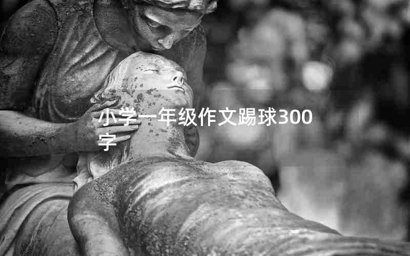 小学一年级作文踢球300字