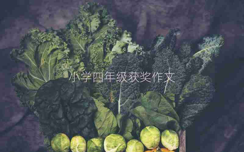 小学四年级获奖作文
