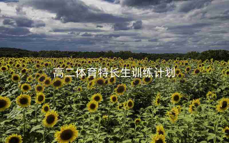 高二体育特长生训练计划
