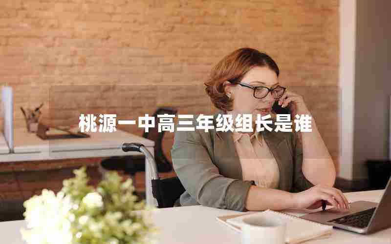 桃源一中高三年级组长是谁