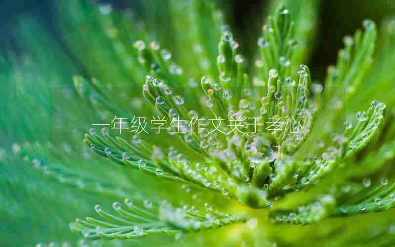 一年级学生作文关于孝心