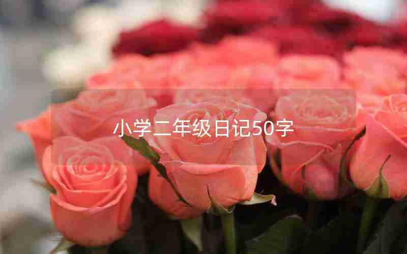 小学二年级日记50字