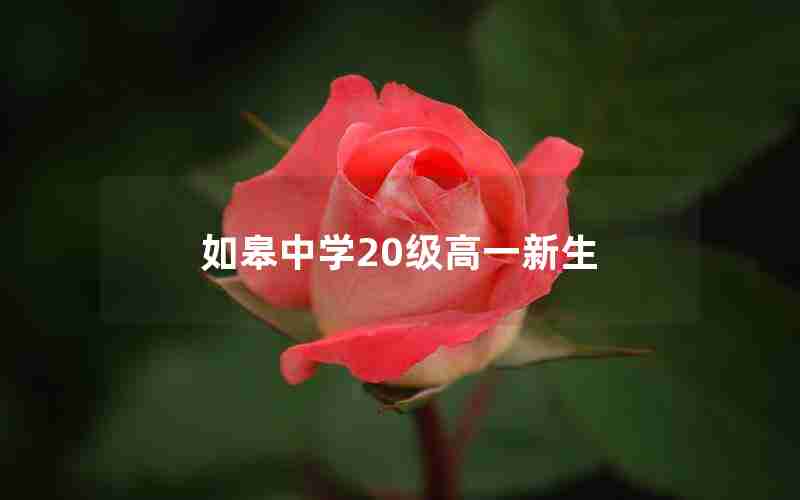 如皋中学20级高一新生