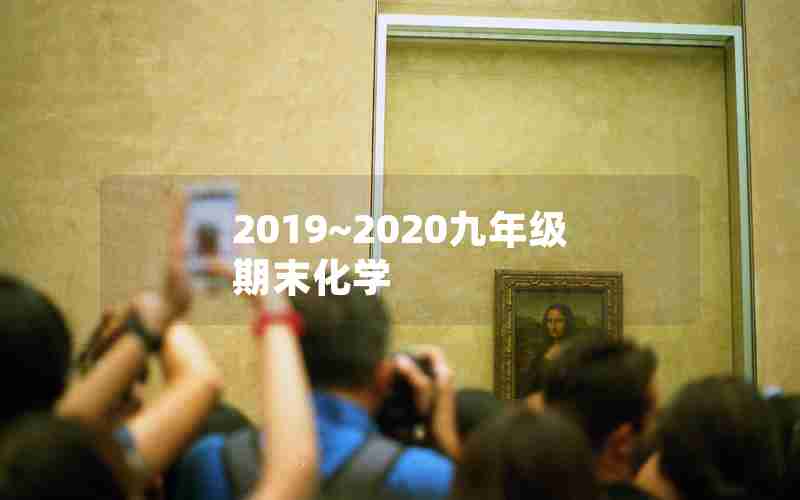 2019~2020九年级期末化学