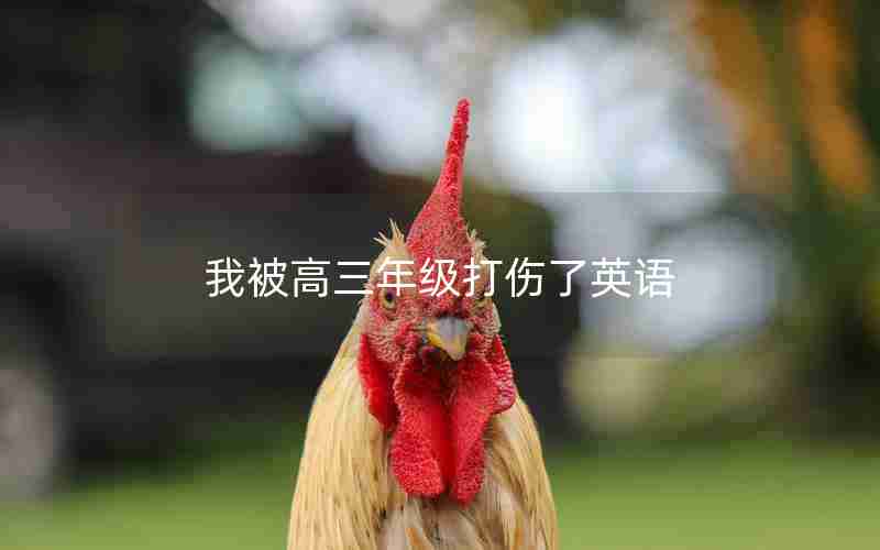 我被高三年级打伤了英语