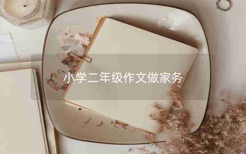 小学二年级作文做家务