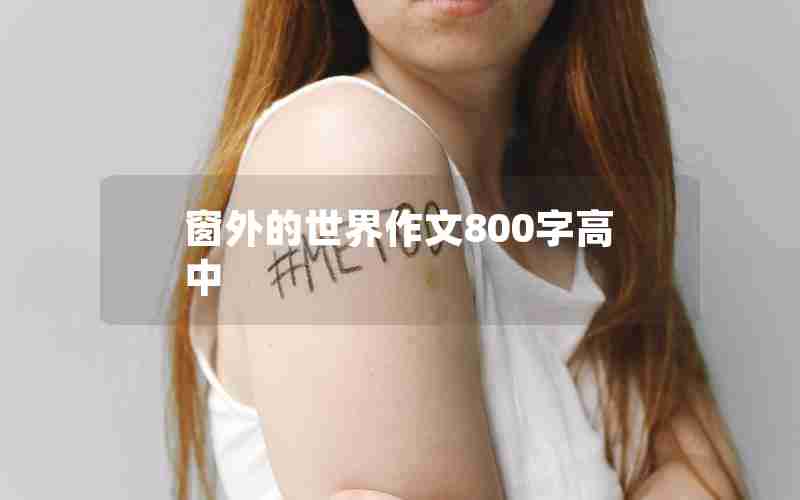 窗外的世界作文800字高中